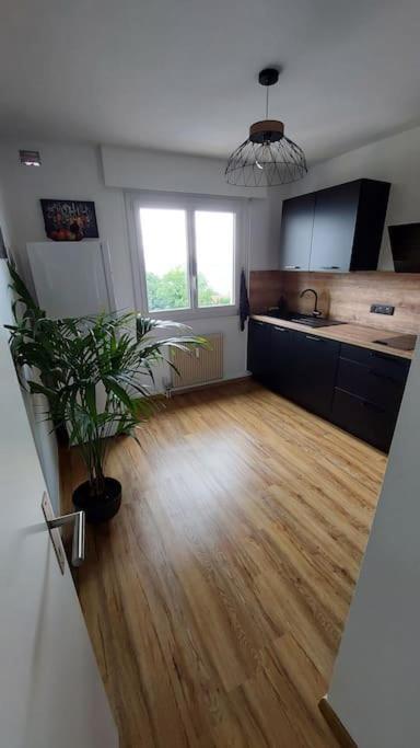 Appart Cosy Avec Vue Sur Le Lac Leman Évian-les-Bains Exterior foto